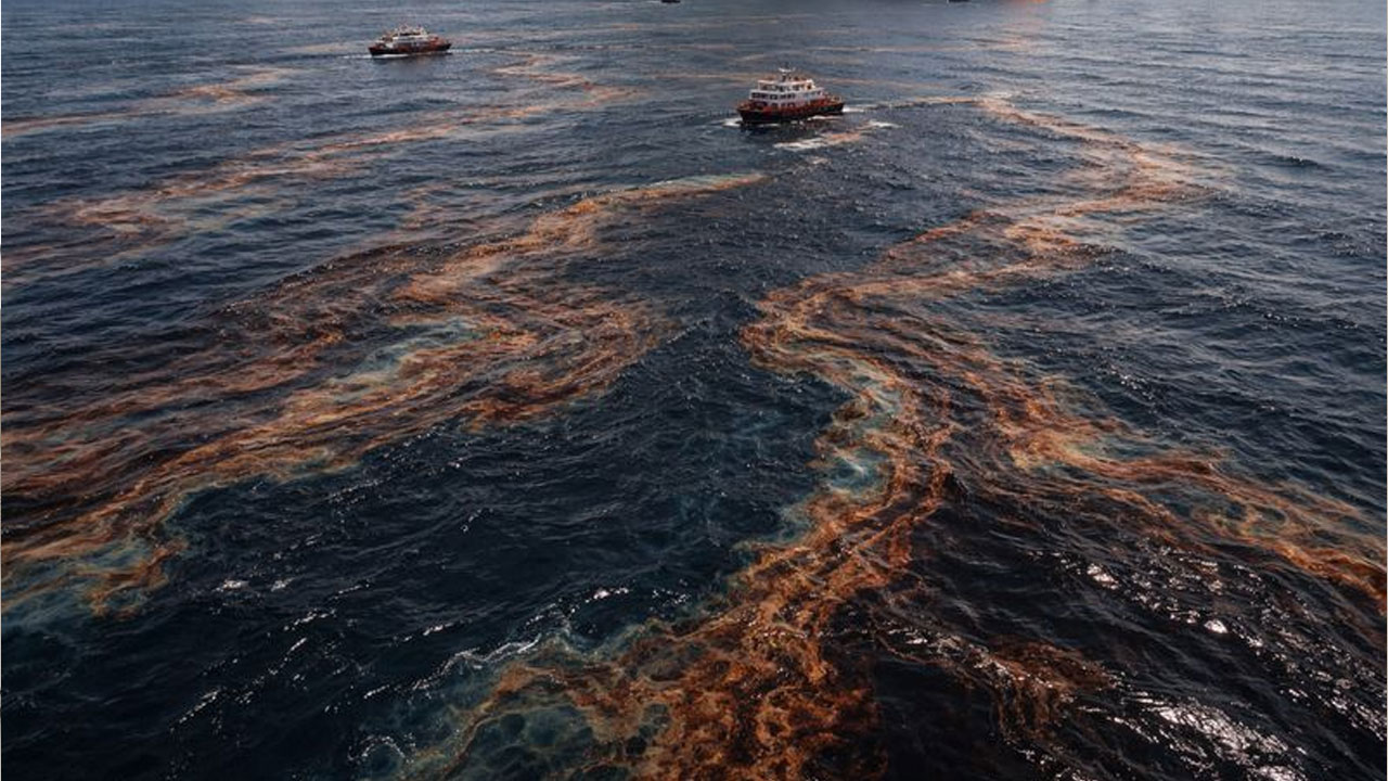 Oil spill | సముద్రంలో కిలోమీటర్ల మేర పేరుకున్న చమురు తెట్టు.. ప్రాణాలు కోల్పోతున్న జలచరాలు