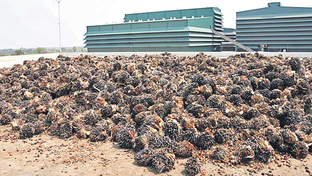 కేసీఆర్‌ కలల ప్రాజెక్టు