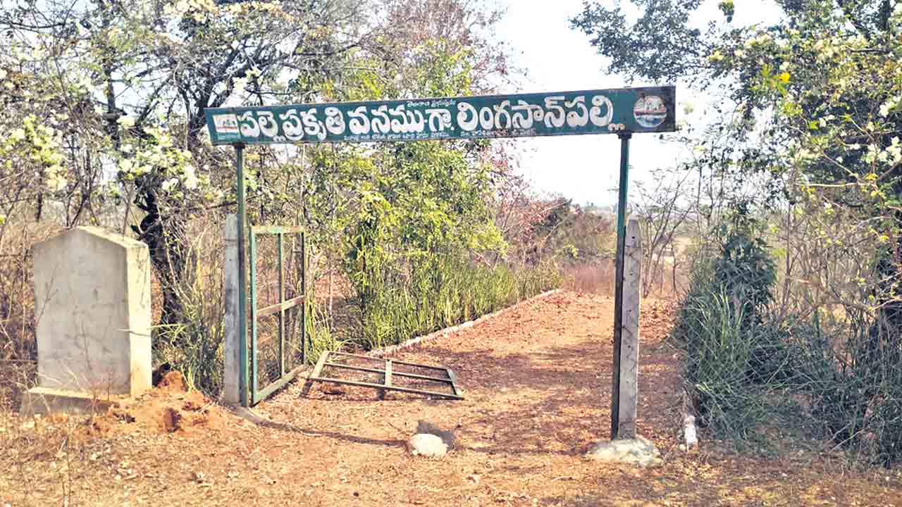 పల్లెసిగలో ఆహ్లాదం కరువు