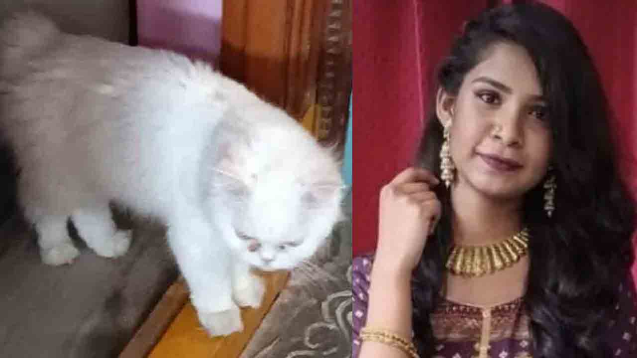 Pet Cat | పిల్లి కోసం విలువైన ప్రాణాలు లెక్కచేయక.. మరో యువతి ఆత్మహత్య