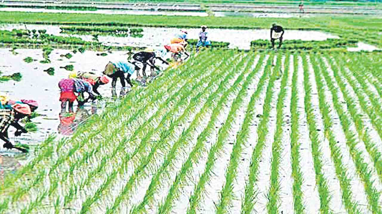 రైతుబీమా రద్దు?.. పథకానికి బడ్జెట్‌లో కేటాయింపుల్లేవ్‌