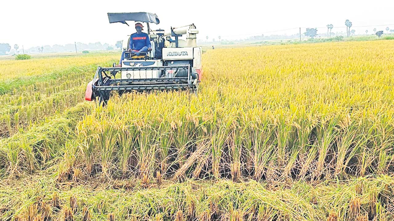 కోతలు ఓకే.. కొనుగోళ్లేవి?