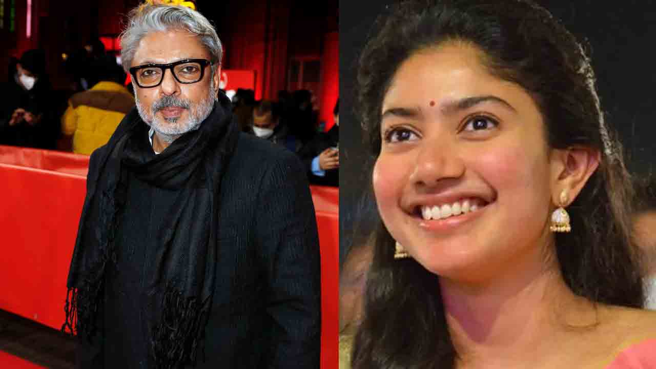 Sai Pallavi | సాయిపల్లవితో సంజయ్‌ లీలా భన్సాలీ చర్చలు.. హైప్‌ పెంచేస్తున్న నయా కాంబో..!