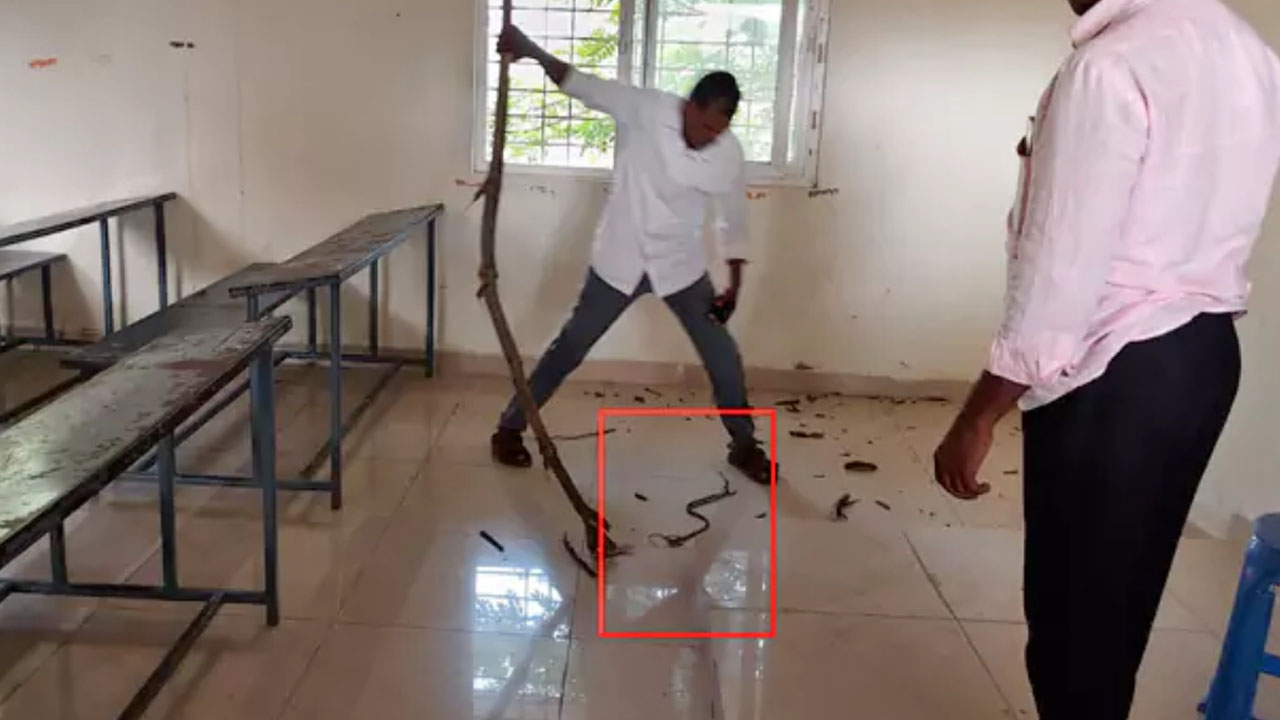 Tenth Exams | పదవ తరగతి పరీక్షల్లో పాము కలకలం.. పరుగులు తీసిన విద్యార్థులు