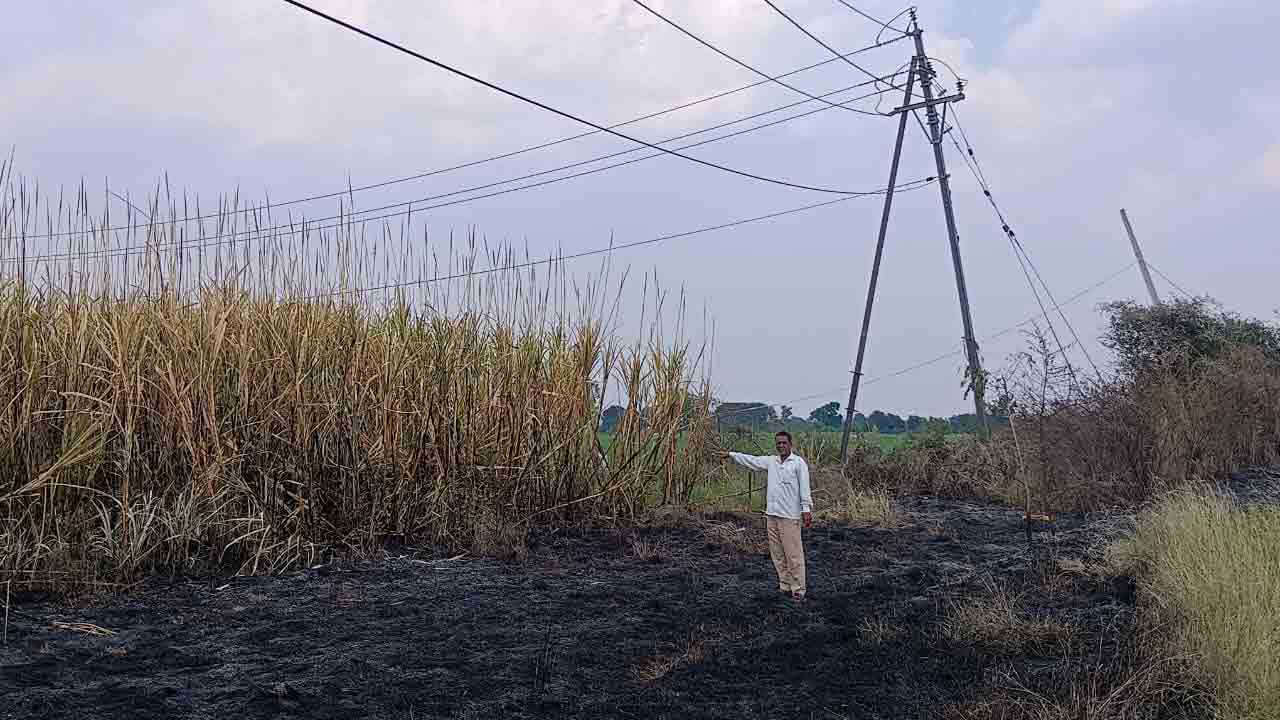 Sugarcane field | విండ్ పవర్‌ అధికారుల నిర్లక్ష్యం.. చెరుకు తోట దగ్ధం