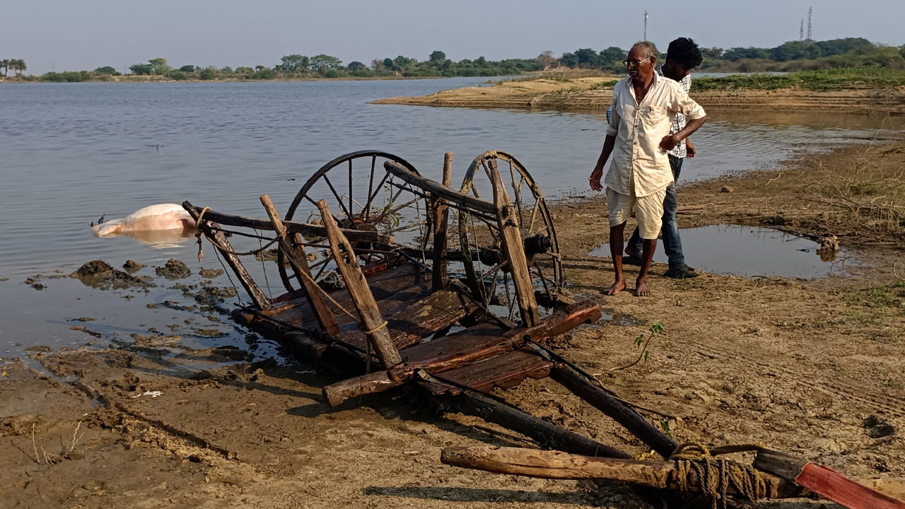 Tandur | చెరువులో ఎడ్ల బండి బోల్తాపడి ఎద్దు మృతి..రైతుకు స్వల్ప గాయాలు