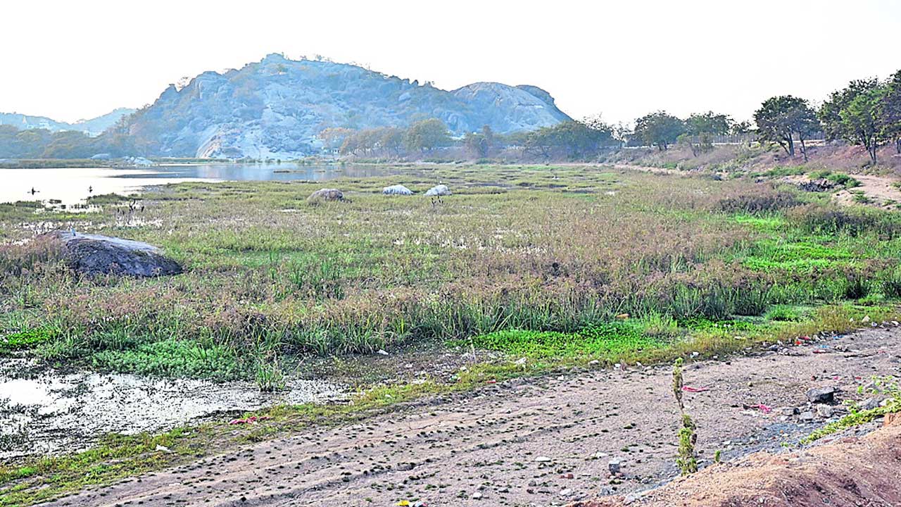 ఇదేం పని?