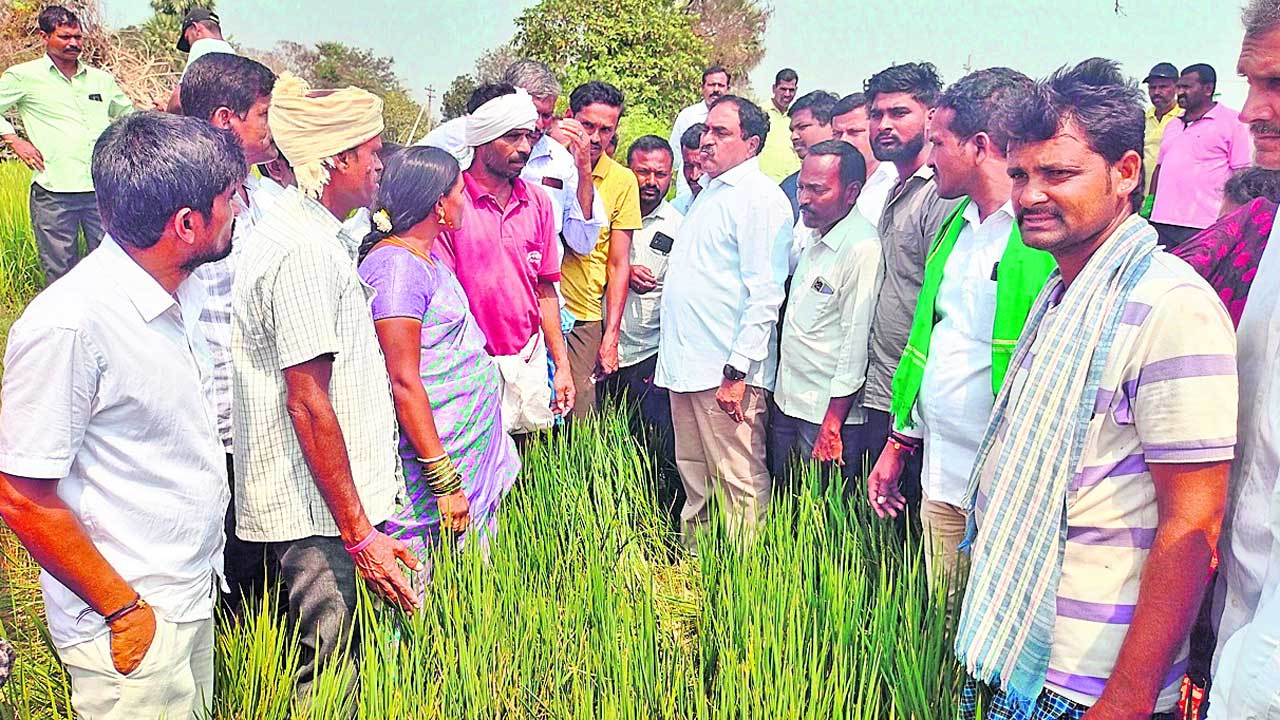 సీఎం రేవంత్‌కు రైతుల ఉసురు తాకుతది
