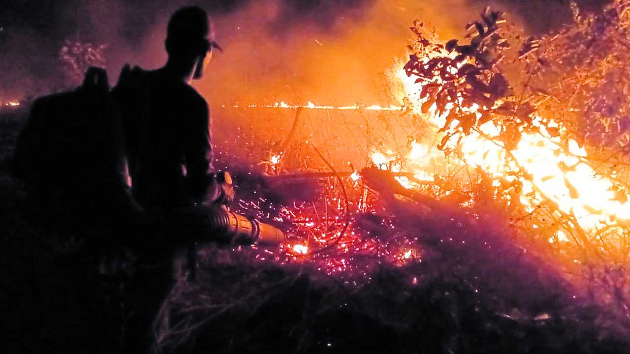 అడవుల్లో కార్చిచ్చు