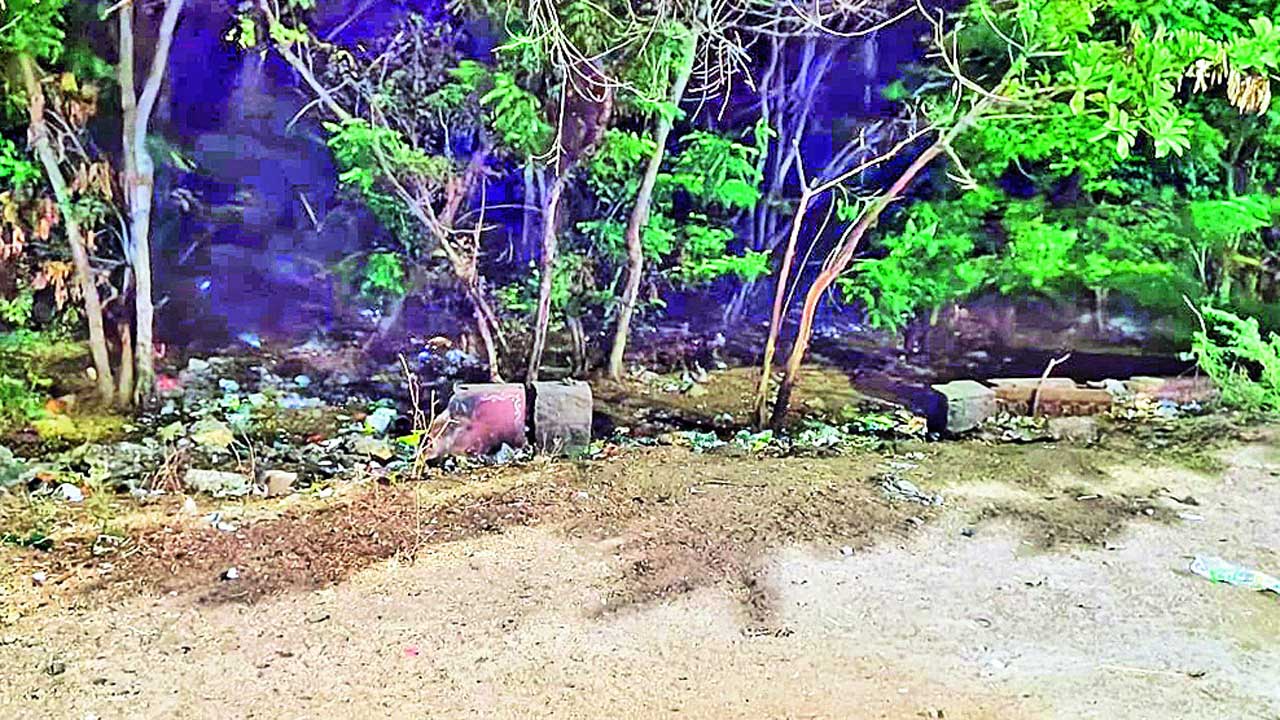 కేయూ భూములకు రక్షణేది?