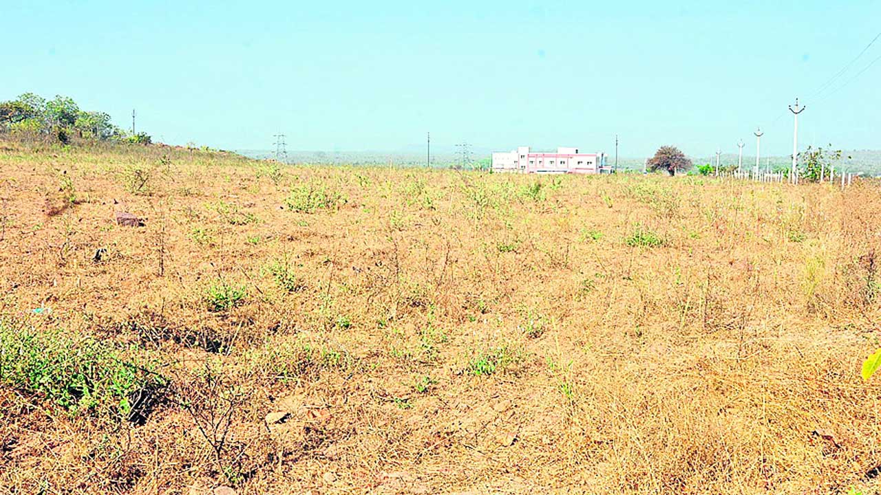 ఏడాదిన్నర కాలం రాళ్లు,రప్పలే దర్శనం