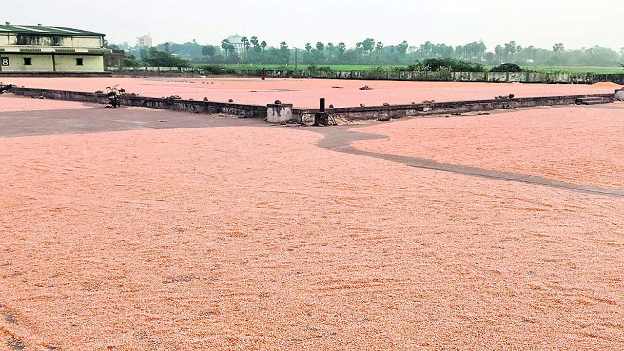 నర్సంపేట మార్కెట్‌కు పోటెత్తిన మక్కలు