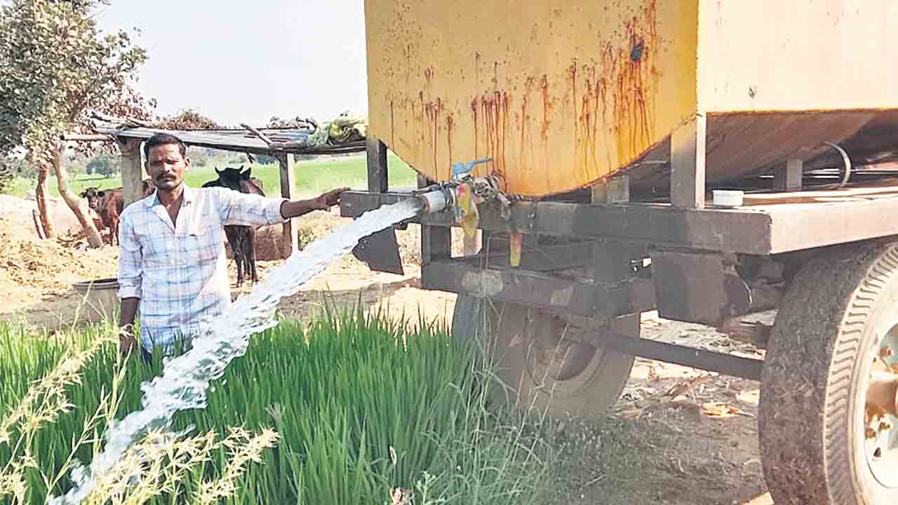 ఈ రైతు కష్టం తీరేనా?.. పంటను కాపాడుకునేందుకు సదానందం అష్టకష్టాలు