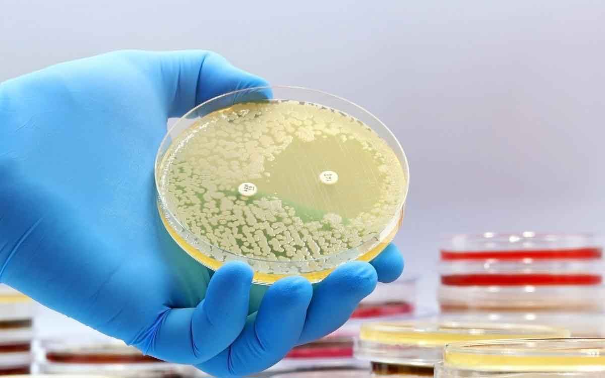 Superbugs | డ్రైనేజీ వ్య‌వ‌స్థ‌ల్లో వృద్ధి చెందుతున్న సూప‌ర్ బ‌గ్స్.. ఏంటివి.. వీటితో వ‌చ్చే ప్ర‌మాదం ఏమిటి..?