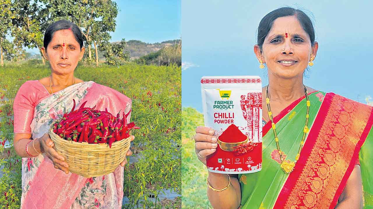 డిజిటల్‌ దునియాను దున్నేస్తున్న రైతుబిడ్డ