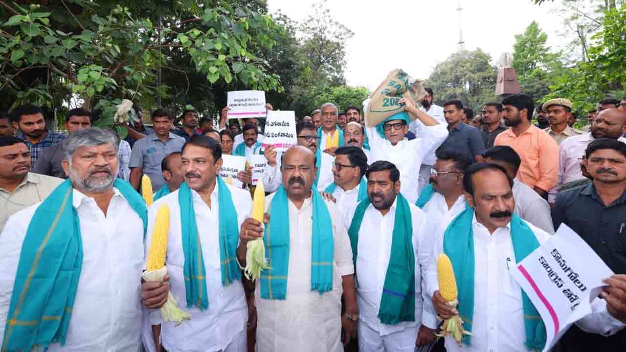 Brs Mlas Rally