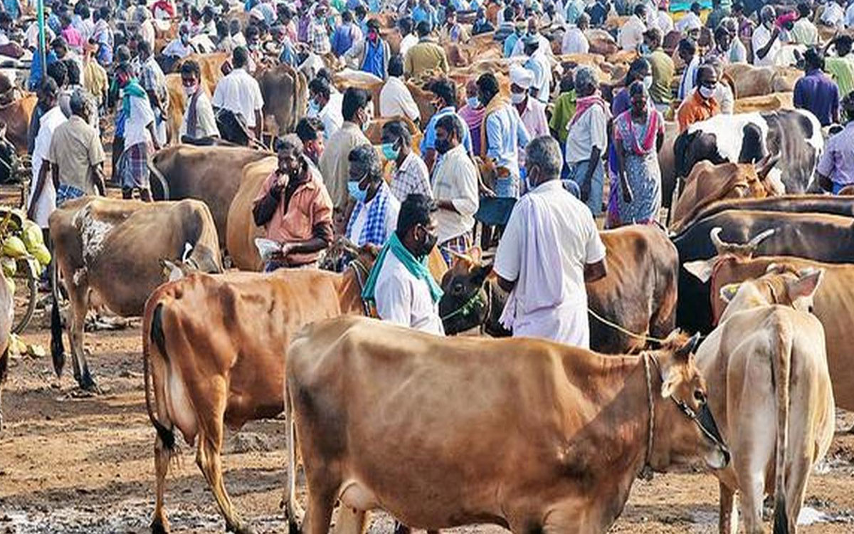 ఈ 30న మోరంపల్లిబంజర్, సారపాకలో వారాంత‌పు సంత వేలం పాట