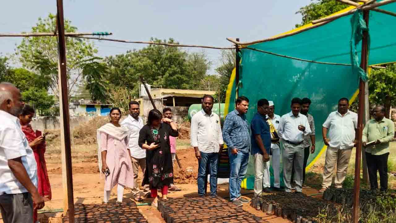 Thandur | పారిశుధ్యంపై ప్రత్యేక దృష్టి సారించాలి : అదనపు కలెక్టర్ చంద్రయ్య