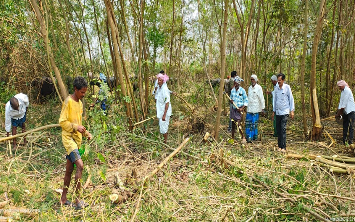 పంట దిగుబడి చేసుకునేందుకు సహకరించాలి : చీమలపాడు రైతులు
