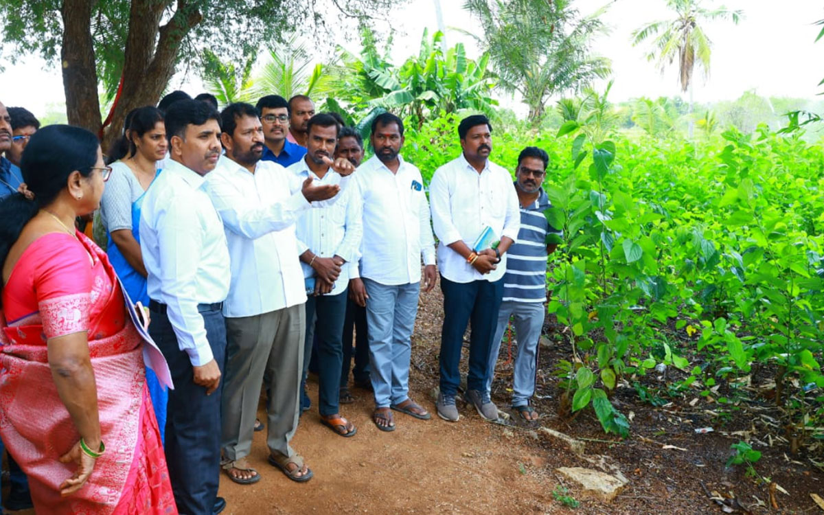 ప‌ట్టు పురుగుల పెంప‌కంతో రైతుల‌కు లాభాలు : క‌లెక్ట‌ర్ చంద్ర‌శేఖ‌ర్‌