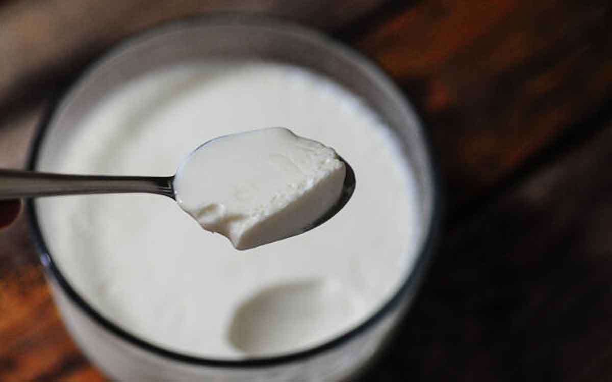 Curd | పెరుగును తిన‌డంలో చాలా మందికి ఉండే అపోహ‌లు ఇవే.. వైద్యులు ఏమంటున్నారంటే..?