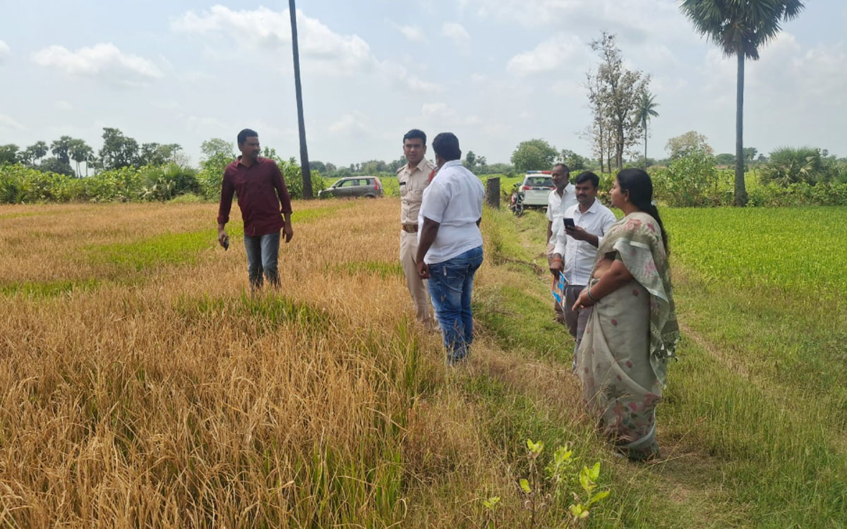 ఐదు ఎకరాల వ‌రి పంటపై గడ్డి మందు స్ప్రే