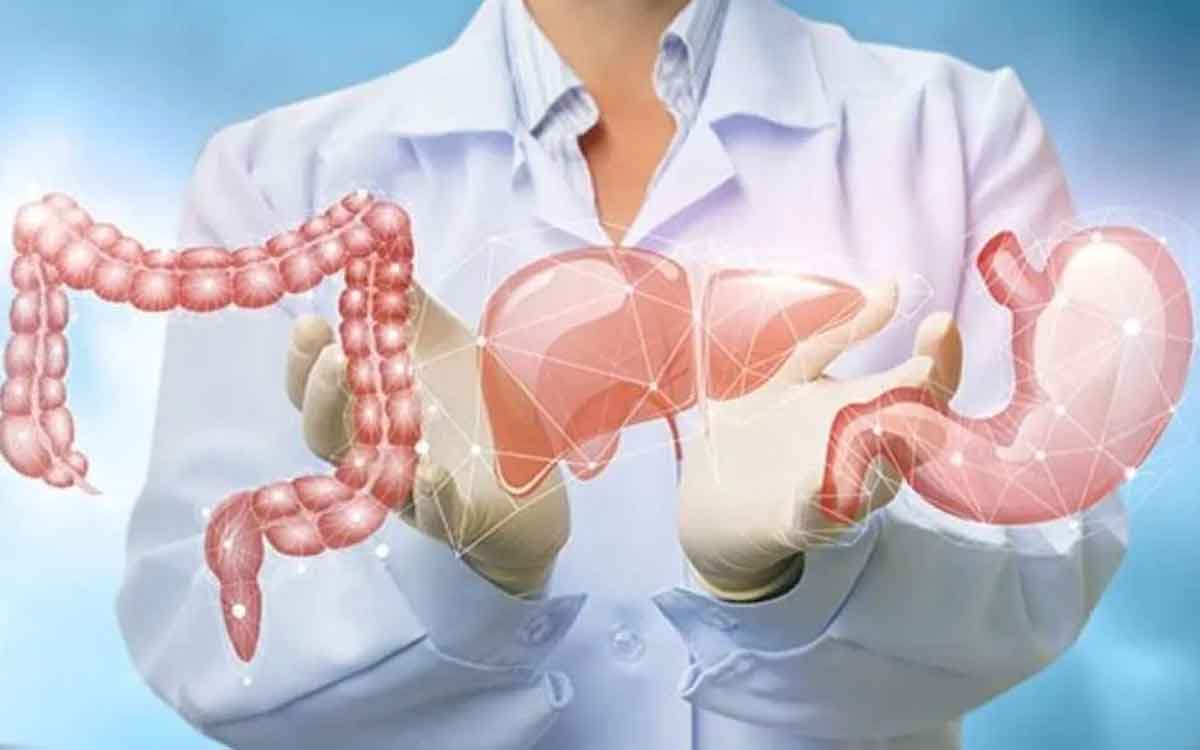 Digestive Problems | వేస‌వి కాలంలో అధిక‌మ‌య్యే జీర్ణ స‌మ‌స్య‌లు.. ఈ పండ్ల‌ను తింటే మేలు జ‌రుగుతుంది..