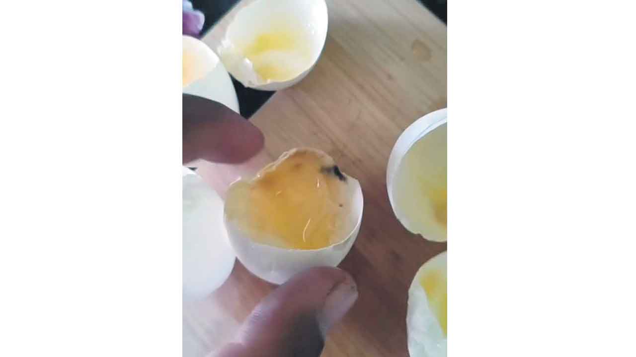 చొప్పరపల్లి అంగన్‌వాడీలో కుళ్లిన గుడ్లు