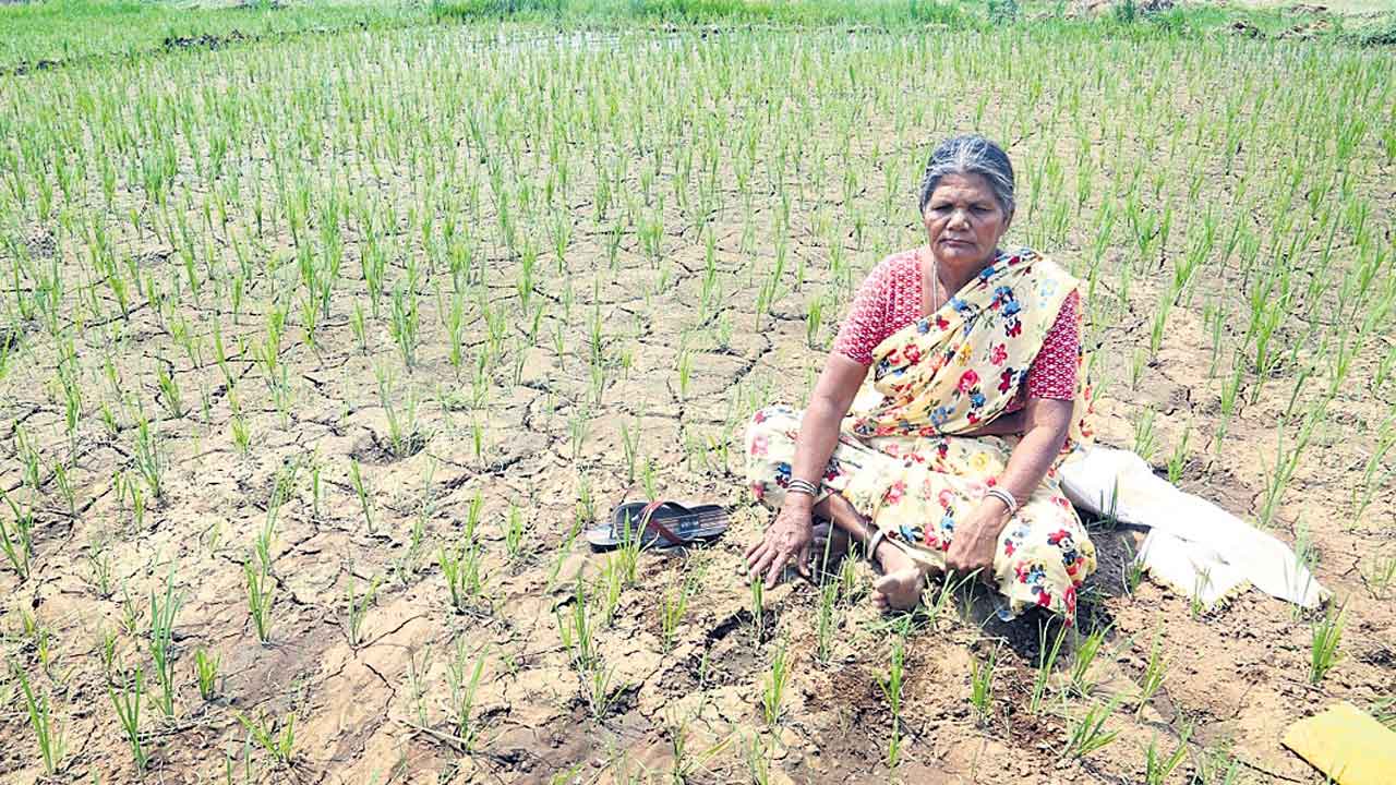 భయం గుప్పిట్లో కాళ్లాపూర్‌