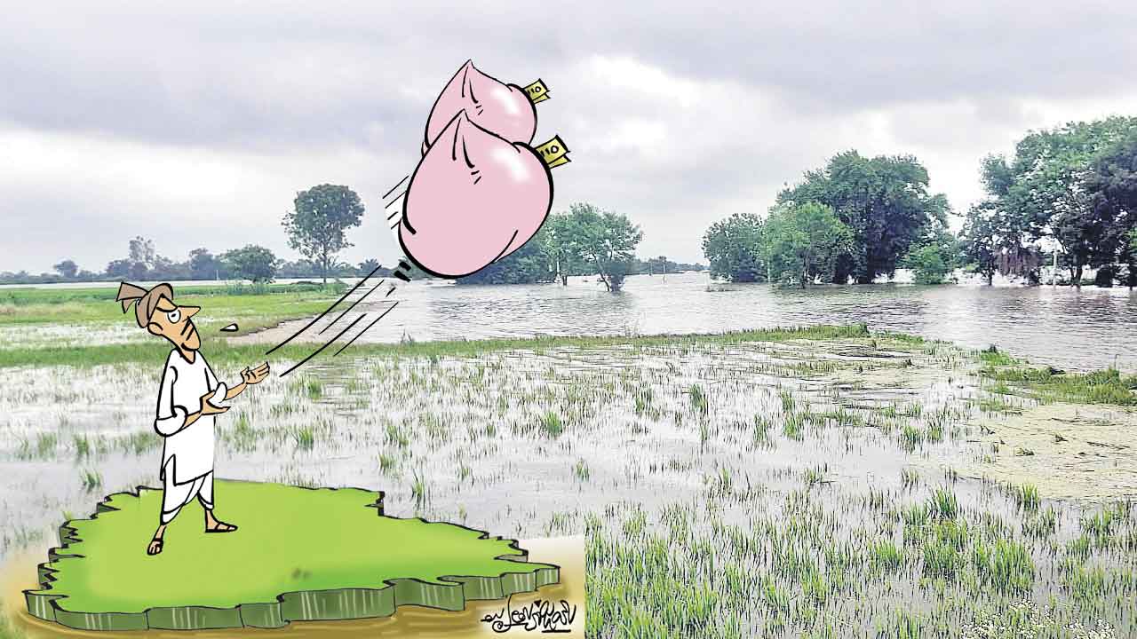 పరిహారం పరిహాసం!