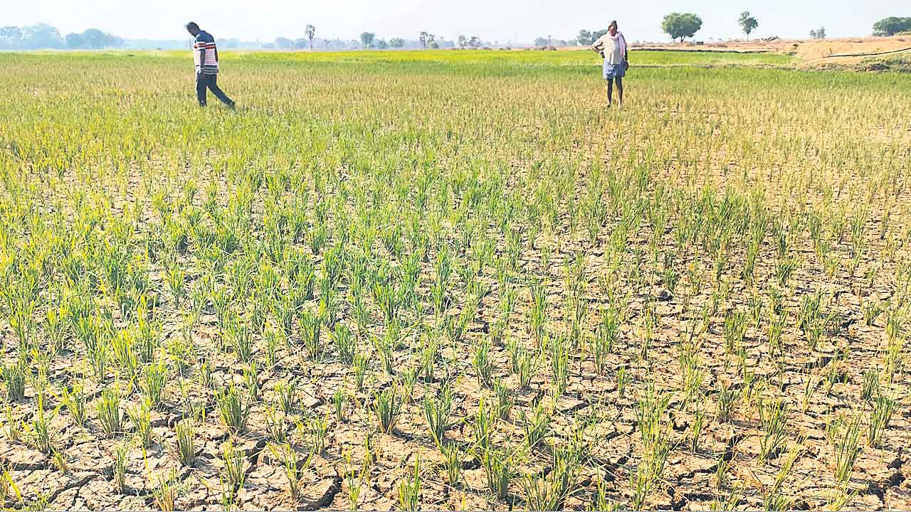 పీడక పాలన నుంచి‘సేవ్‌ తెలంగాణ’