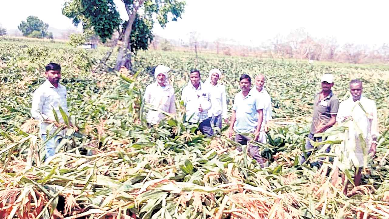 పరిహారం.. పరిహాసం