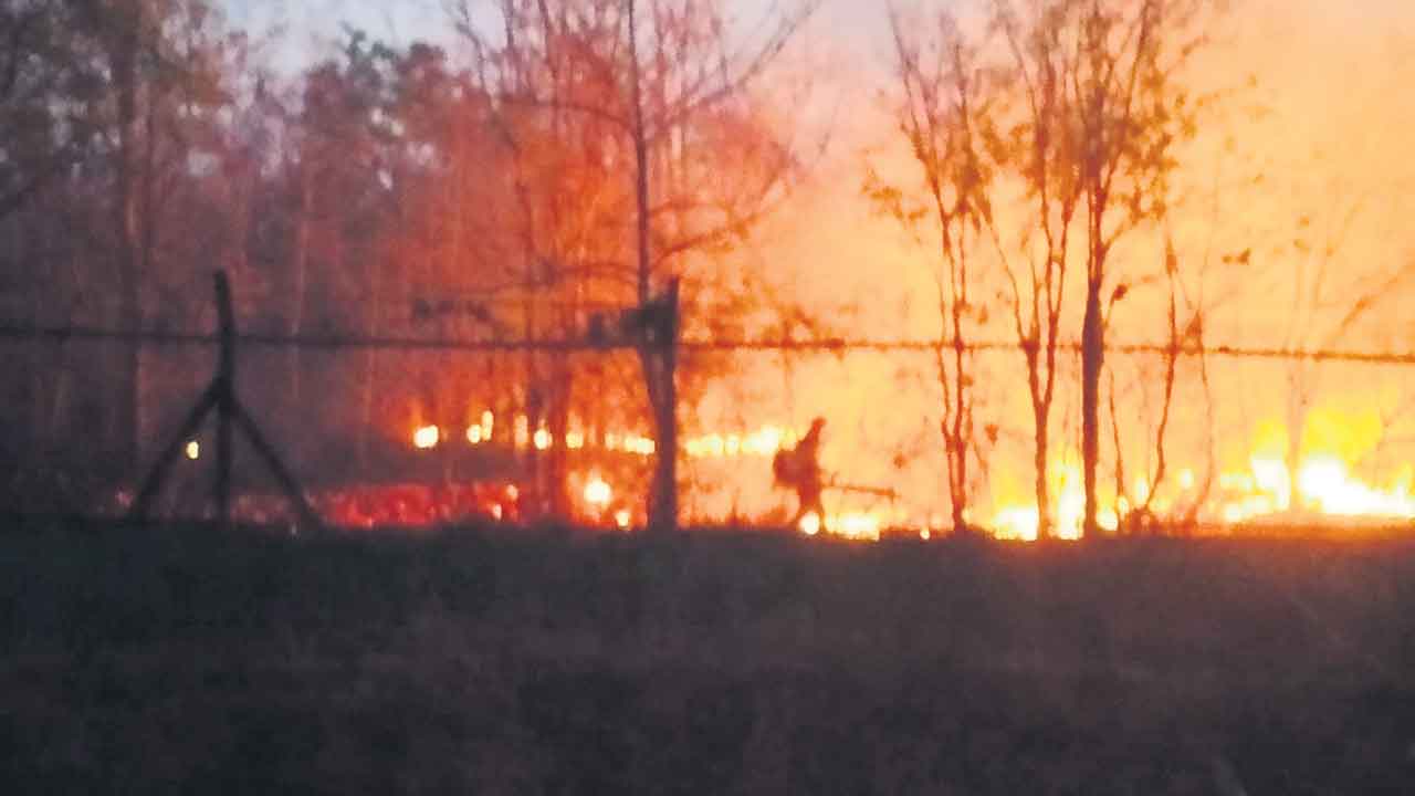 చిన్నాపూర్‌ అటవీ ప్రాంతంలో నిప్పు