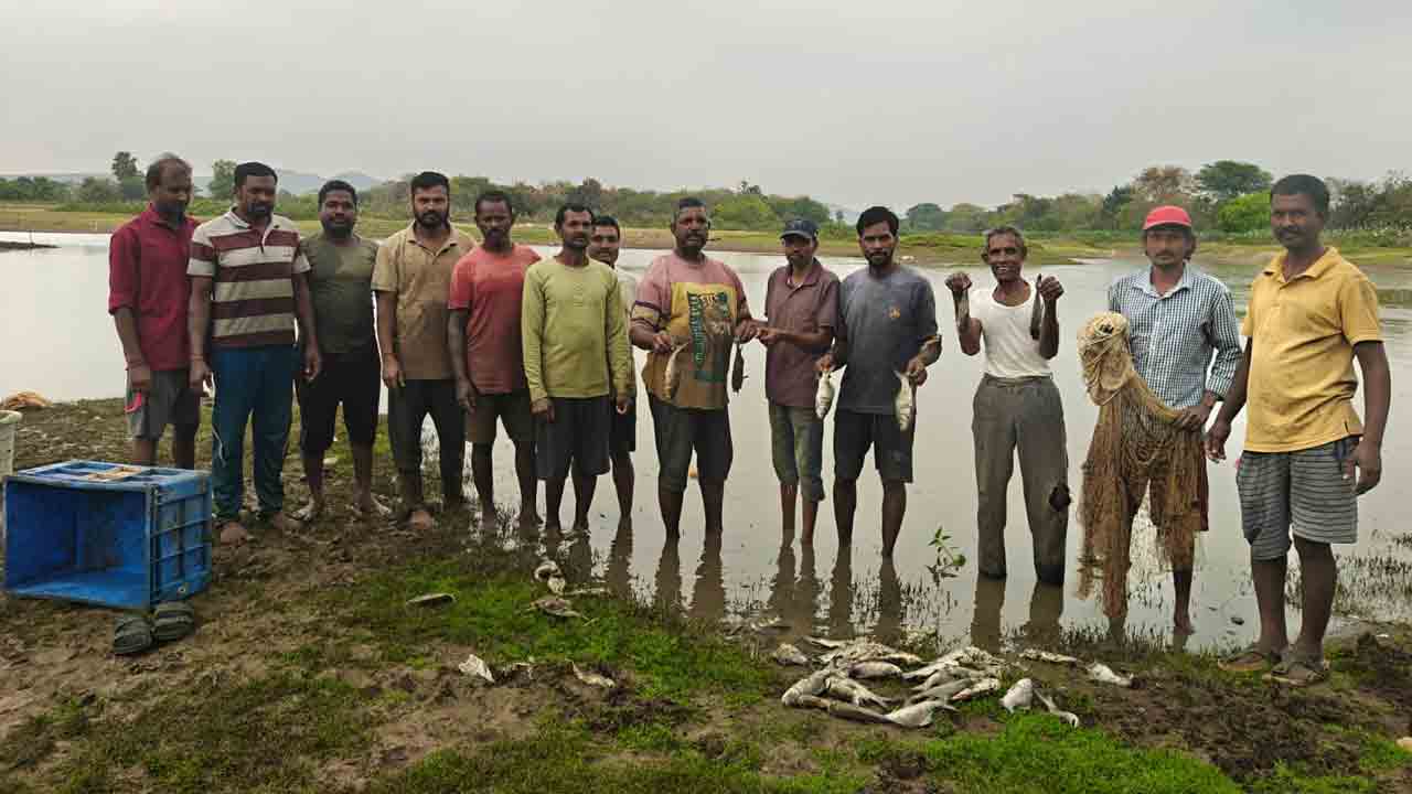 Chandurthi | చెరువు ఎండి చేపల మృత్యువాత..జీవనోపాధి కోల్పోయిన మత్స్యకారులు