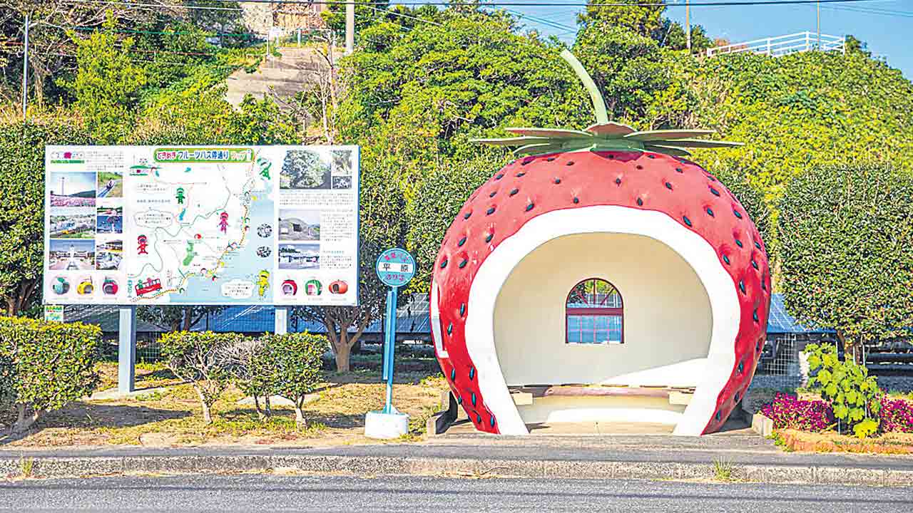 ఫ్రూట్‌ స్టాప్‌!