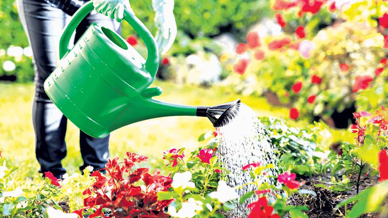 ఎప్పుడు పడితే అప్పుడు వద్దు