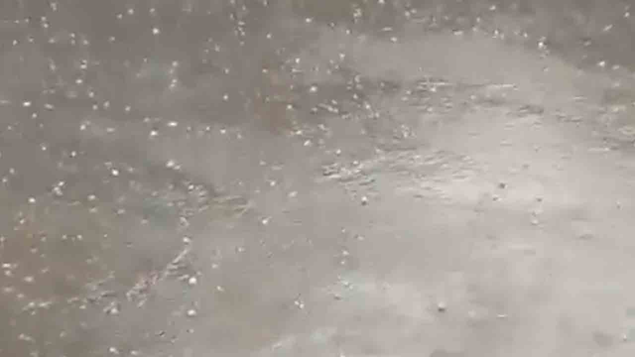 Hailstorm | కామారెడ్డి జిల్లాలో వడగండ్ల వాన.. భారీగా దెబ్బతిన్న పంటలు..!