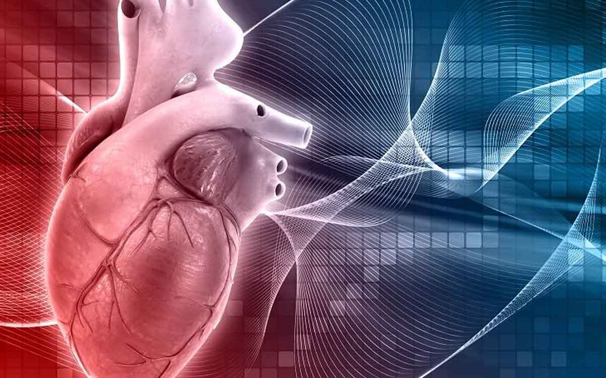Heart Diseases | గుండె జ‌బ్బుల‌కు ఇవే ప్ర‌ధాన కార‌ణాలు.. వీటి నుంచి త‌ప్ప‌నిస‌రిగా బ‌య‌ట ప‌డాల్సిందే..