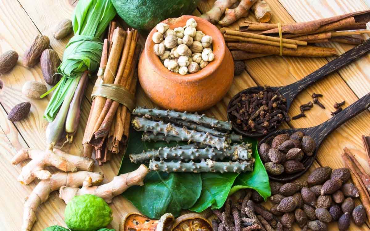 Womens Health | మ‌హిళ‌ల ఆరోగ్యానికి ఎంతో మేలు చేసే ఆయుర్వేద మూలిక‌లు.. ఎలాంటి లాభాలు క‌లుగుతాయంటే..?