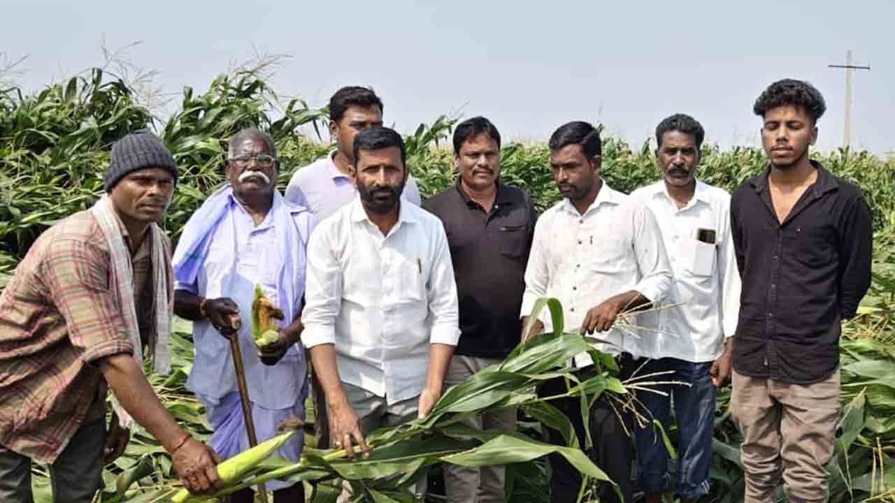 Thoguta | పంట నష్టపోయిన రైతులను ప్రభుత్వం ఆదుకోవాలి : జీడిపల్లి రాంరెడ్డి