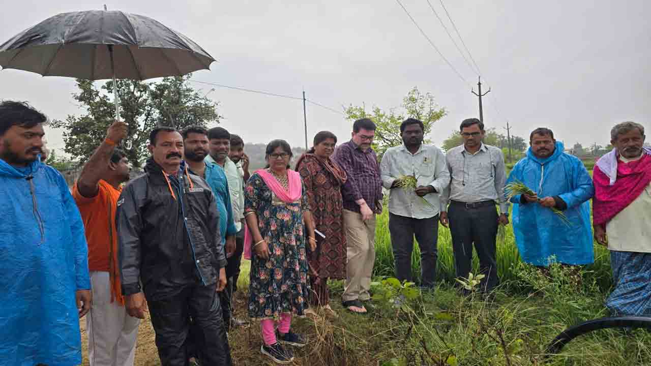 Bhimadevarapalli | వరి పొలాలను సందర్శించిన వ్యవసాయ శాస్త్రవేత్తలు