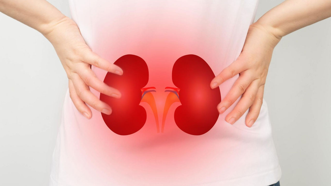 Health tips | మీలో ఈ లక్షణాలను గమనిస్తున్నారా.. కిడ్నీ పరీక్షలు చేయించుకోండి..!