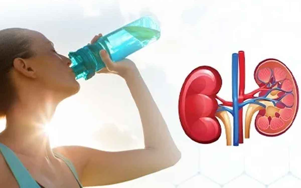 Kidneys Health | వేస‌విలో కిడ్నీల ఆరోగ్యం ప‌ట్ల జాగ్ర‌త్త‌గా ఉండాల్సిందే.. ఈ సూచ‌న‌లు పాటించాలి..