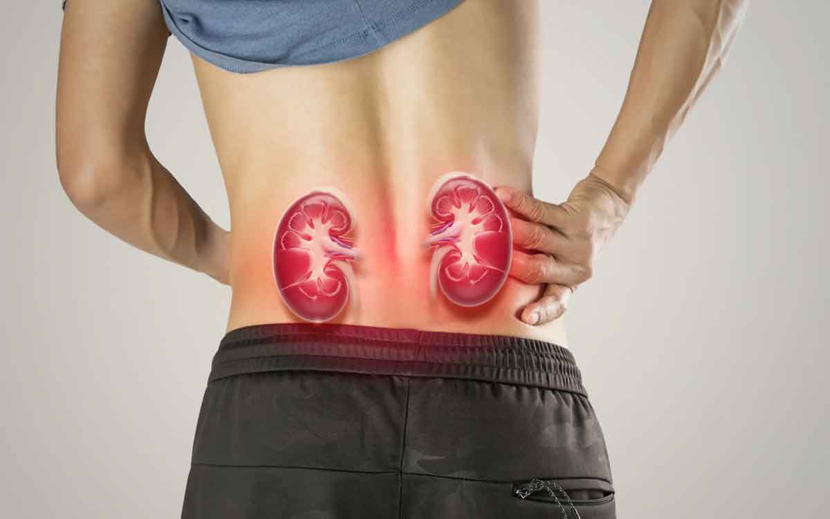 Kidney Diseases | భార‌తీయుల్లో తీవ్ర‌త‌రం అవుతున్న కిడ్నీ వ్యాధులు.. కార‌ణాలు ఇవే..