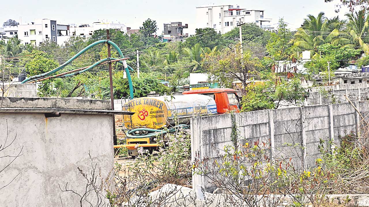 నీటి జలగలు