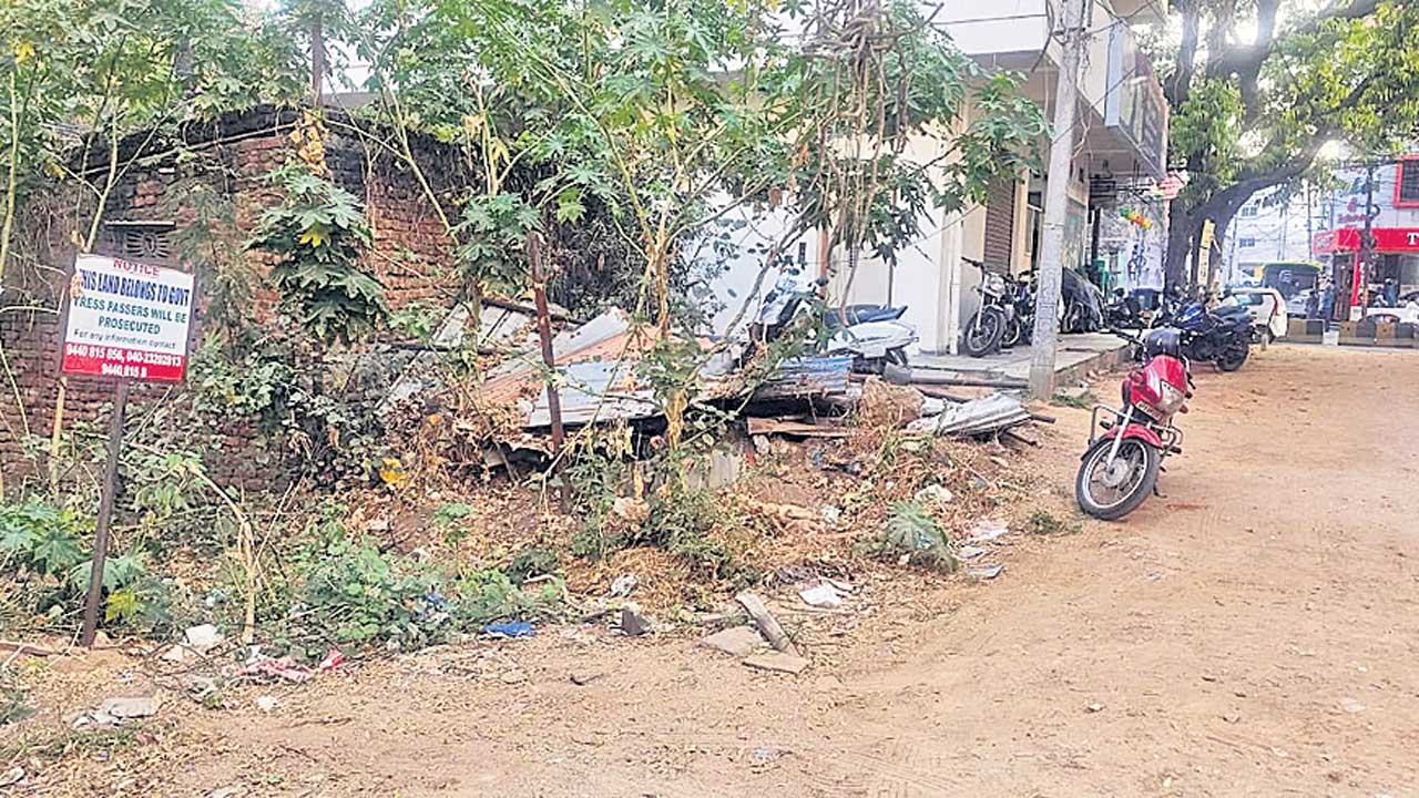 ఎంపీ కుటుంబానికి భూమి ధారాదత్తం!