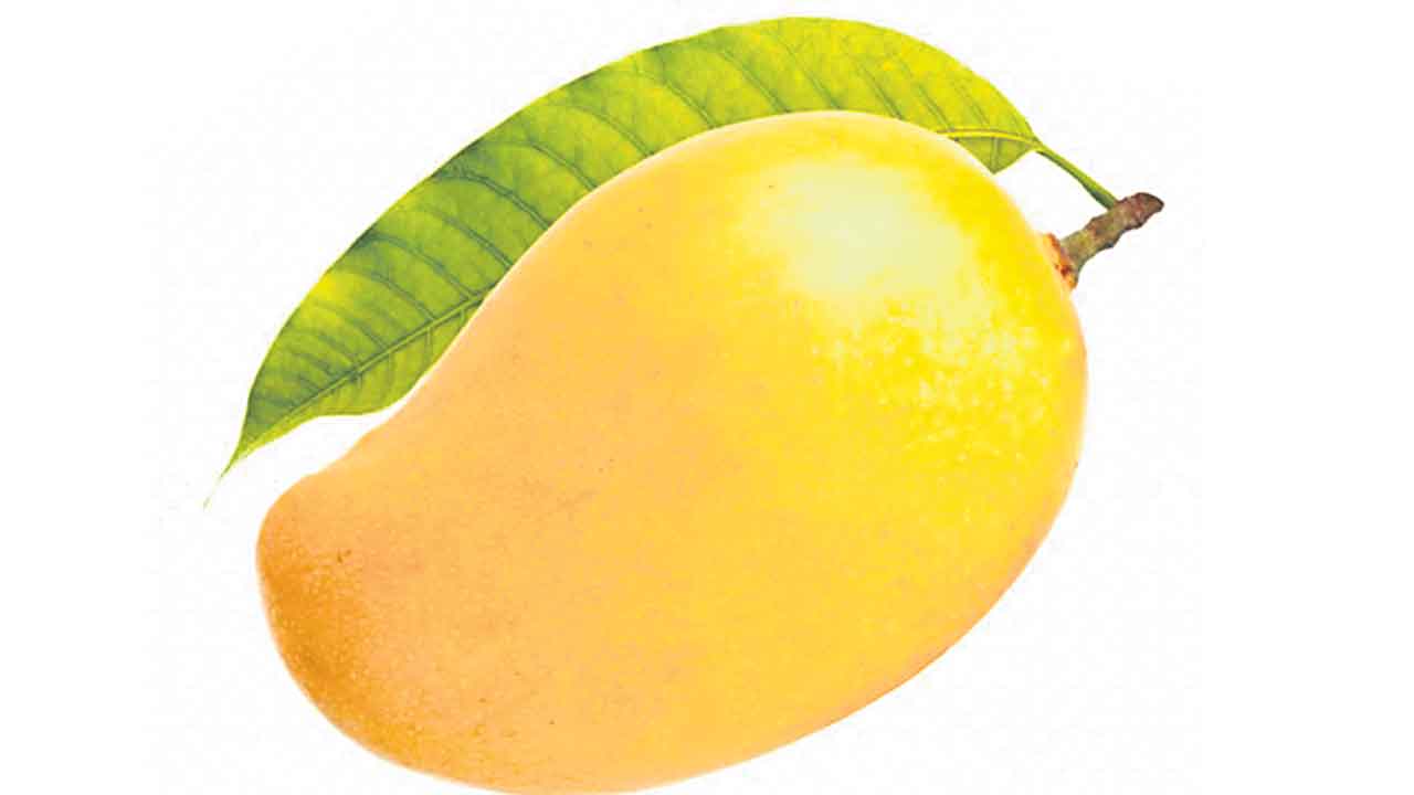 కృత్రిమంగా మామిడి మగ్గబెట్టి.. పోలీసులకు చిక్కి