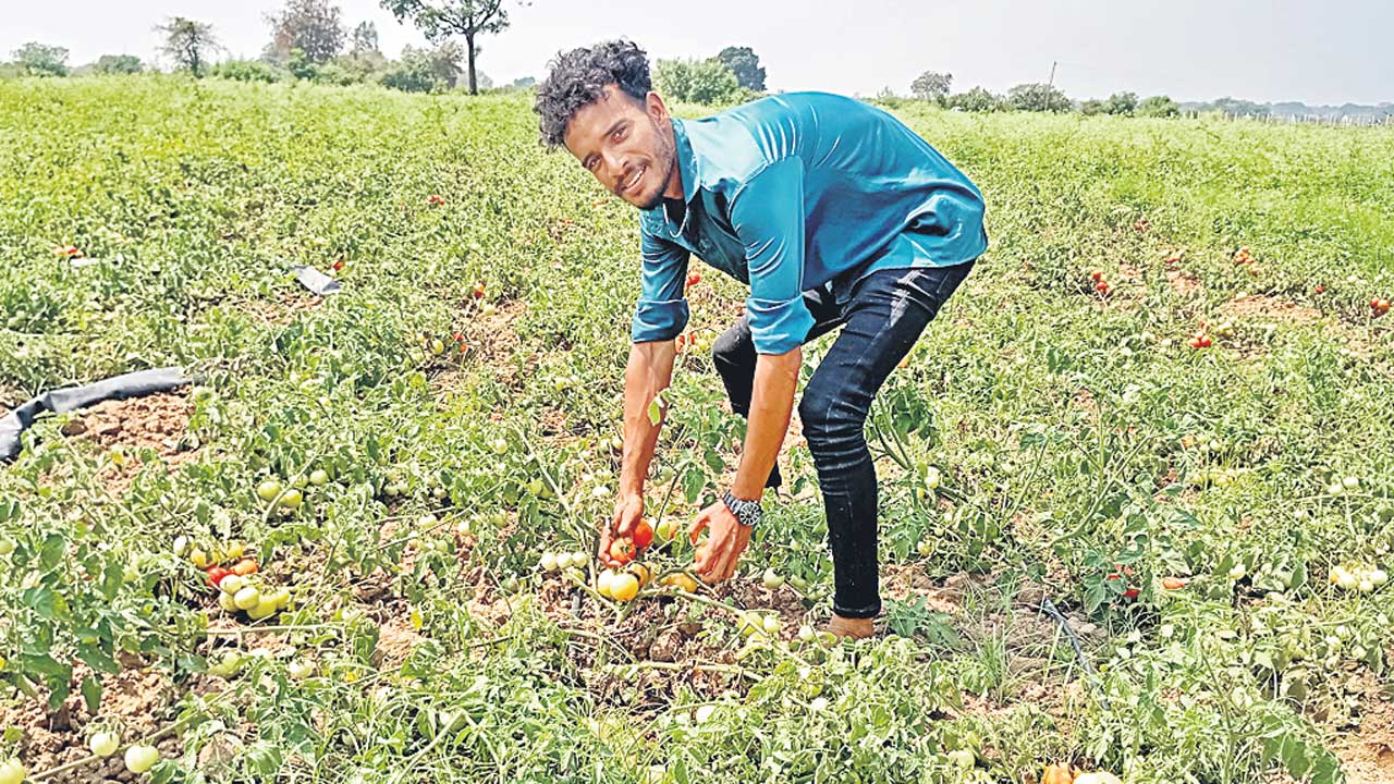 టమాట ధర ఢమాల్‌