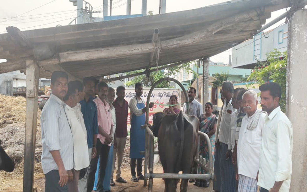 పశువులకు సకాలంలో టీకాలు వేయించాలి : సర్పంచ్ నీలాబాయి