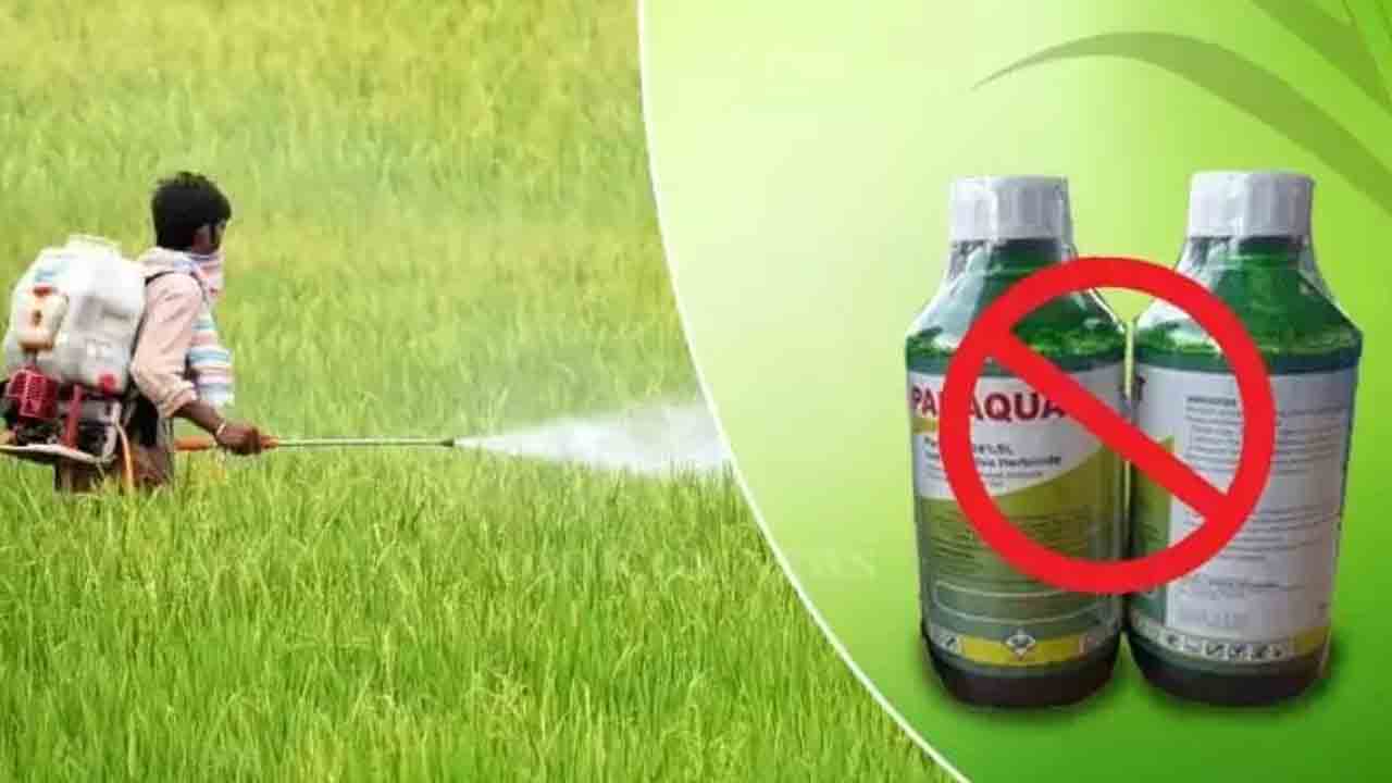 Ban On Paraquat | ‘పారాక్వాట్’ గడ్డి మందును నిషేధిస్తూ అసెంబ్లీలో తీర్మానం..!